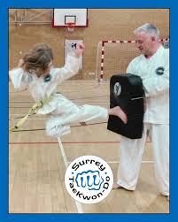 Image result for Surrey Taekwondo