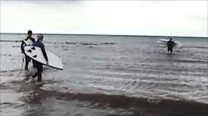 Image result for Lincolnshire Surf Club