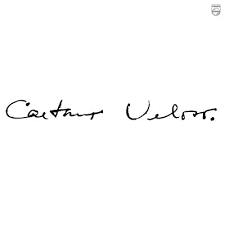 Blog de musicaemprosa : Música em Prosa, Gilberto Gil cantando Marighella?