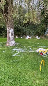 Image result for Rye Bay Football Club