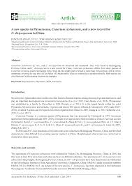 Attēlu rezultāti vaicājumam “Badhamiopsis macrospora”