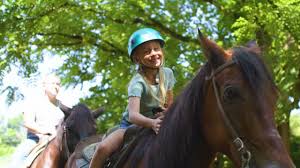 Image result for Cliff Hatch Stables