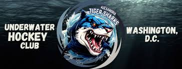 Image result for Caversham Underwater Hockey Club
