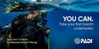 Image result for Torbay Sub-Aqua Club