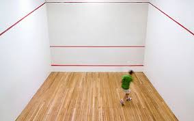 Image result for Barnsley Squash Club