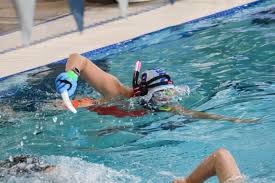 Image result for Plymouth Underwater Hockey Club