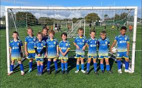 Image result for Drefach Cricket & Football Club