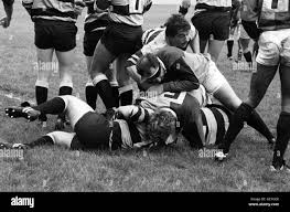 Image result for Cardiff Harlequins