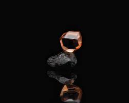 Attēlu rezultāti vaicājumam “Diderma roanense macro”