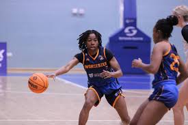 Image result for Worcester Wolves Basketball Club