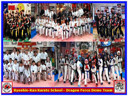 Image result for Hidden Dragon Karate-Do