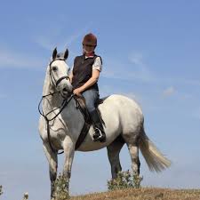 Image result for Fife Riding Club