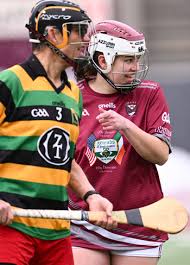 Image result for hurling