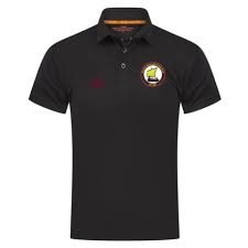 Image result for Gosport Borough Cc