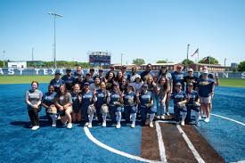 Image result for Lions Softball Club