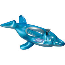 Image result for Dolphin Sub Aqua