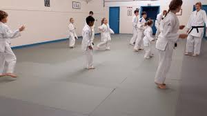 Image result for Towy Judo Club, Llandovery, Wales