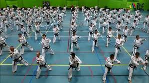 Image result for National Forest Taekwon-do