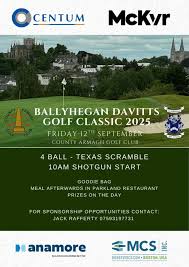 Image result for Ballyhegan Davitts Gaa Club