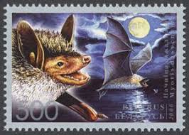 Attēlu rezultāti vaicājumam “Myotis dasycneme”