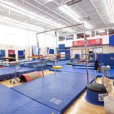 Image result for Gym Stars