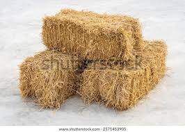 Image result for 붶