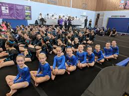 Image result for Pinewood Gymnastics Club