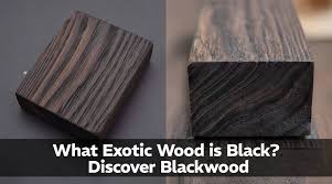 Image result for Blackwood