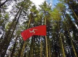 Image result for Laser Mayhem