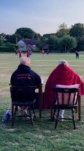 Image result for Ewhurst Stoolball Club