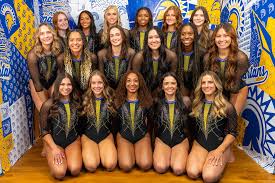 Image result for Buckingham Gymnastics Club