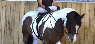 Image result for Winchester Riding Club