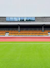 Image result for Meadowbank Edinburgh Jitsu Club