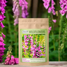 Image result for Digitalis purpurea