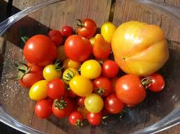Afbeeldingsresultaat voor oranje van goeienbier tomato