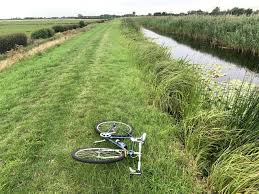 Image result for Fenland Flyers