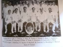 Image result for Axminster Town Cricket Club