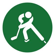 Image result for Swindon Panthers