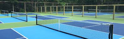 Image result for 1st New Forest Pickleball Club