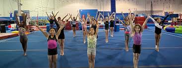 Image result for Halifax Sports Acro Gymnastics Club