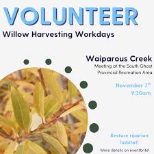 Image result for Sander canadensis/vitreus