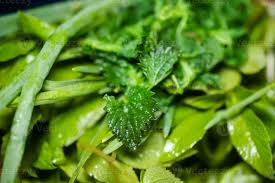 Attēlu rezultāti vaicājumam “Urtica dioica fruit”