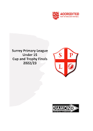 Image result for Burpham Juniors Fc