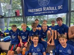 Image result for Hastings Seagulls Swimming Club