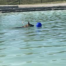 Image result for Hazel Grove B T C Bowling Club