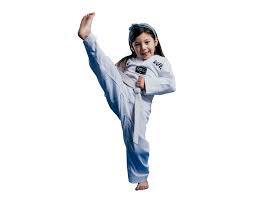 Image result for Taekwondo Witney