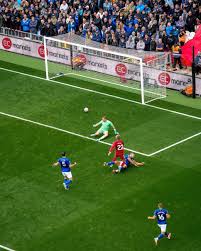 Image result for Merseyside Ravens