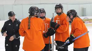 Image result for Byfleet Ramblers Ladies Hockey Club