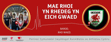 Image result for Deeside Aac