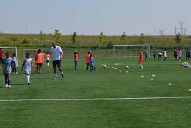 Image result for Thornhill Rugby League Football Club